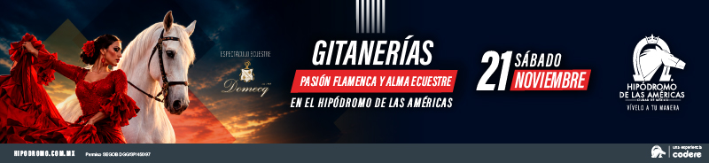 Anuncio 1